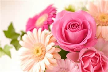 母の日におすすめ カーネーション以外の花と花言葉10選 いい日本再発見